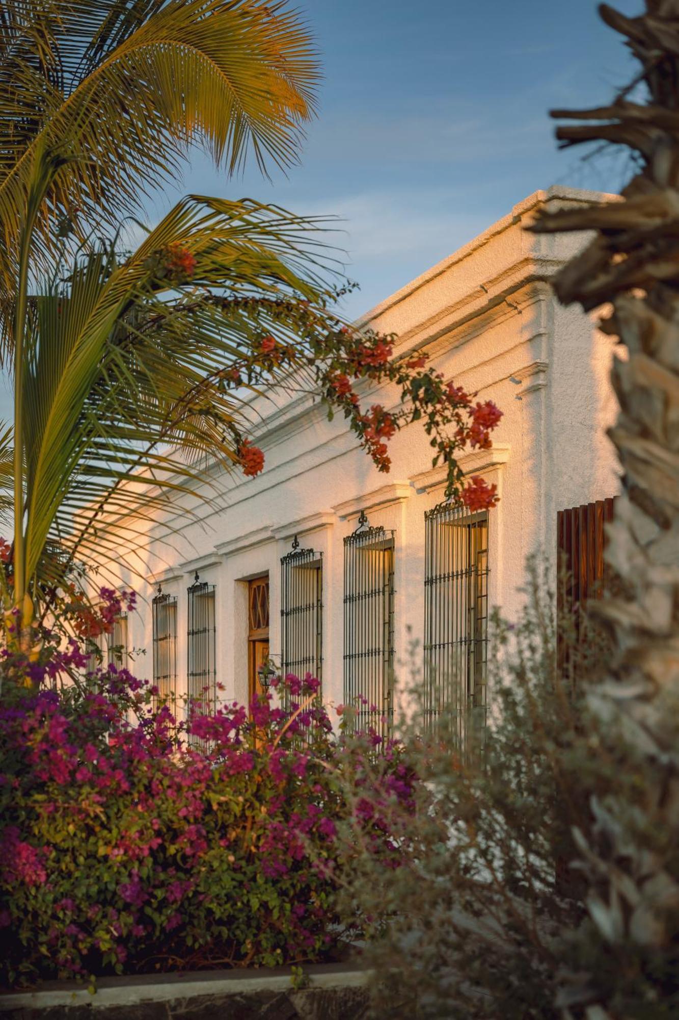 Baja Club Hotel, La Paz, Baja California Sur, A Member Of Design Hotels Buitenkant foto